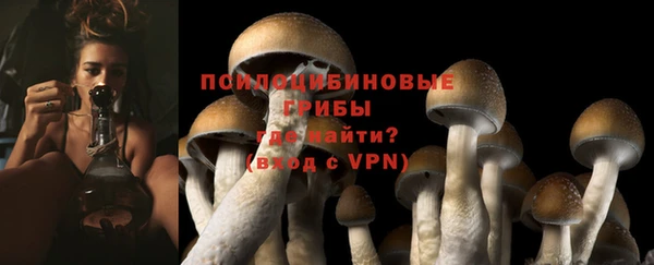 первитин Осташков