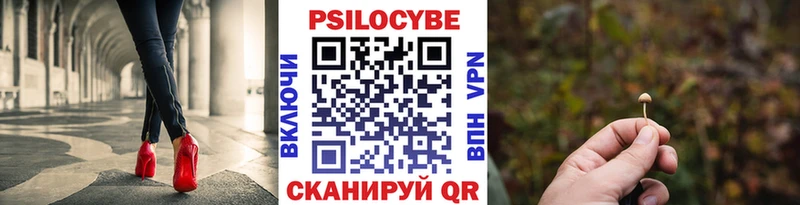 Галлюциногенные грибы мицелий  Великий Новгород 